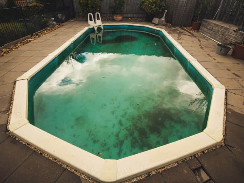 eau piscine verte algues
