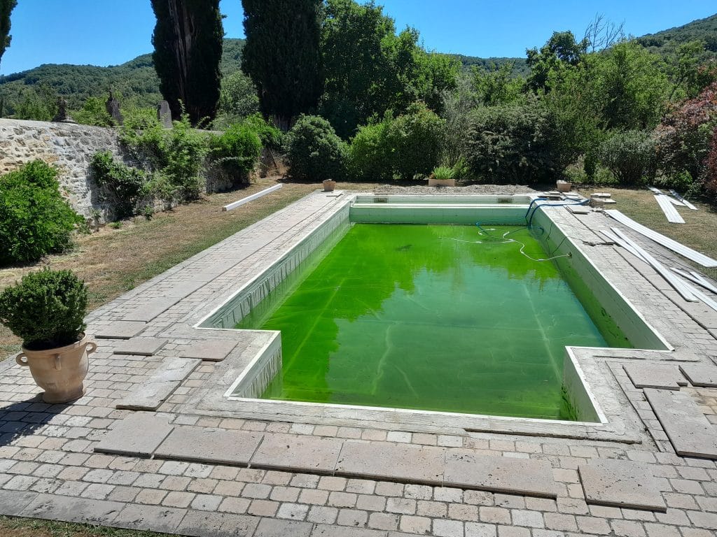 eau piscine verte renovation