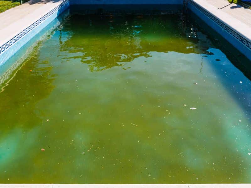 eau piscine verte sale