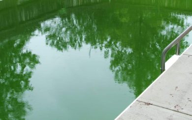 Peut-on se baigner dans une eau de piscine verte ?