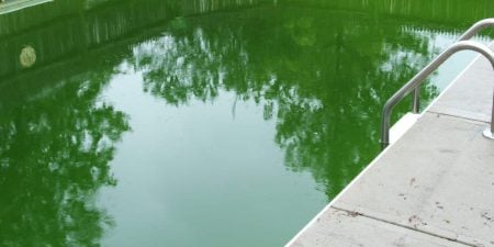 Peut-on se baigner dans une eau de piscine verte ?