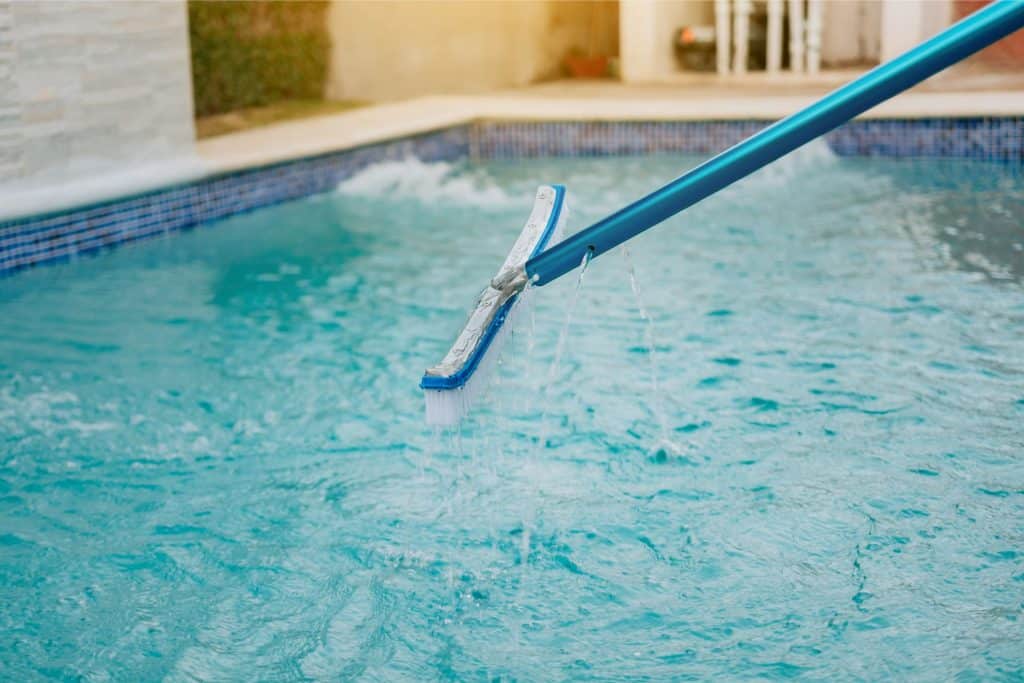 Brosse nettoyante de piscine pour parois