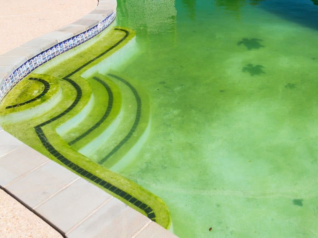 Eau de piscine qui a tourné au vert