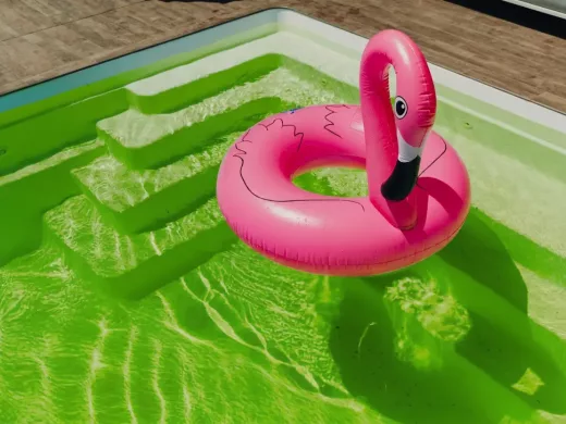 Eau de piscine verte à rattraper : bassin envahi par les algues