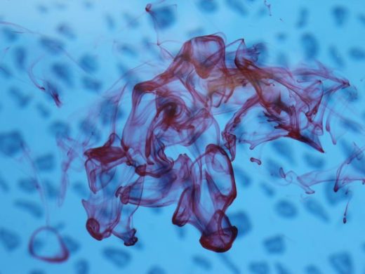 Comment trouver une fuite d&#039;eau dans sa piscine ?