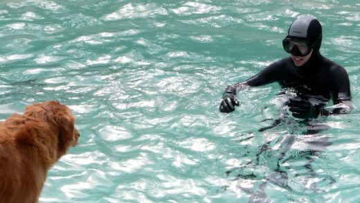 Les avis Piscines Ibiza