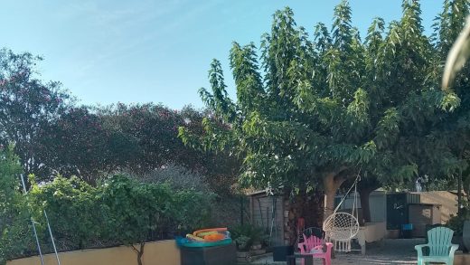 Les avis Piscines Ibiza